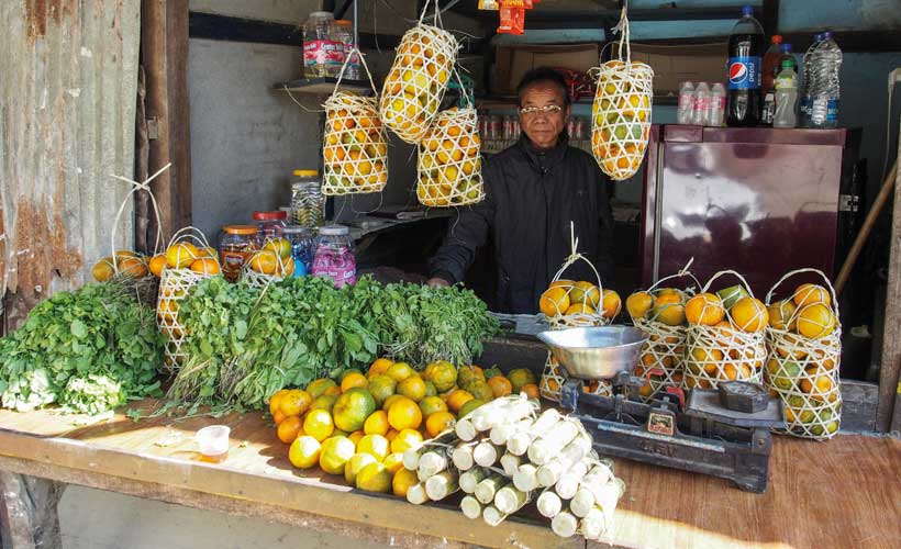 Man selling oranges and herbs at roadside stall Northern India