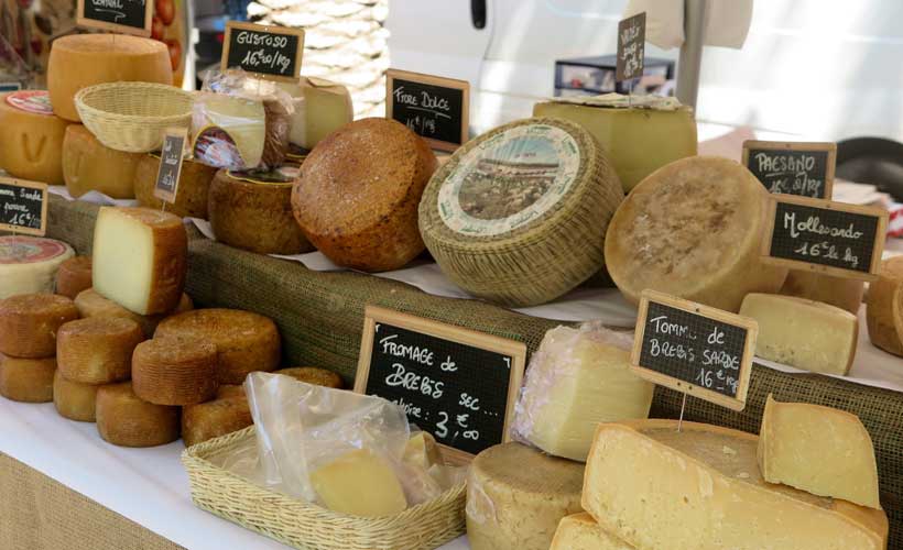 A row of Corsican cheeses