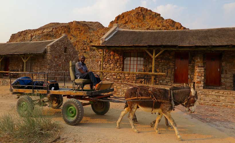 Donkey cart delivering luggage